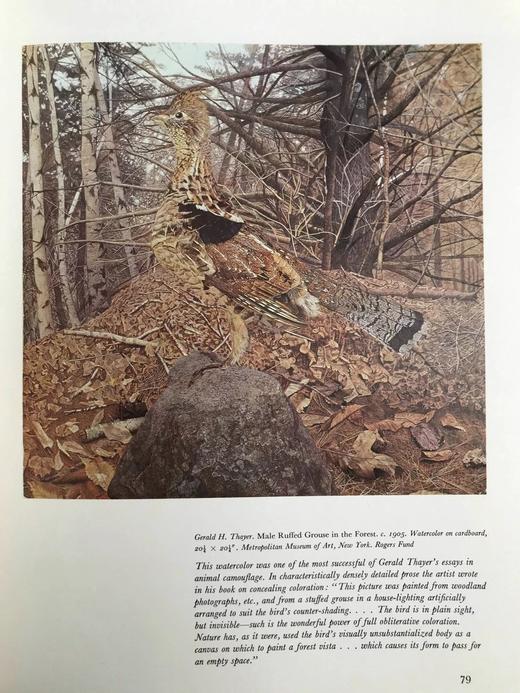 美国动物寓言 198幅插图（73幅彩色） 精装大16开 商品图13