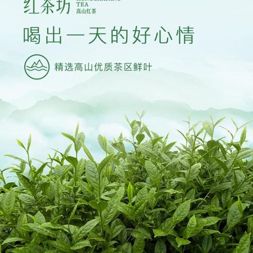 红茶坊牌高山红茶50g 商品图3