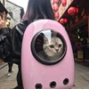 双肩包宠物包太空舱猫包大容量狗包透气背包猫咪包外出便携胸前包 商品缩略图2