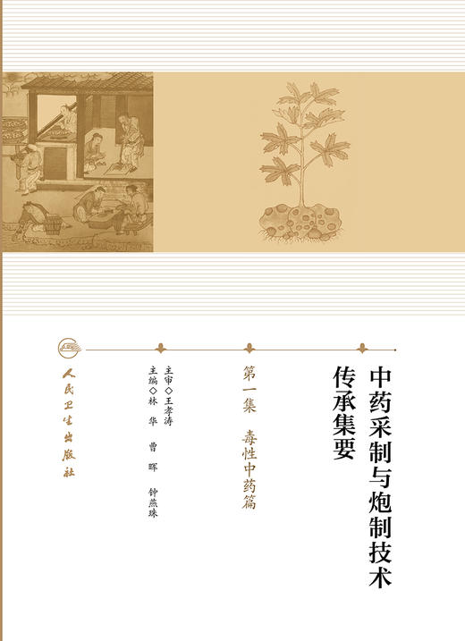 中药采制与炮制技术传承集要   第一集  毒性中药篇 2022年7月参考书 9787117296946 商品图1