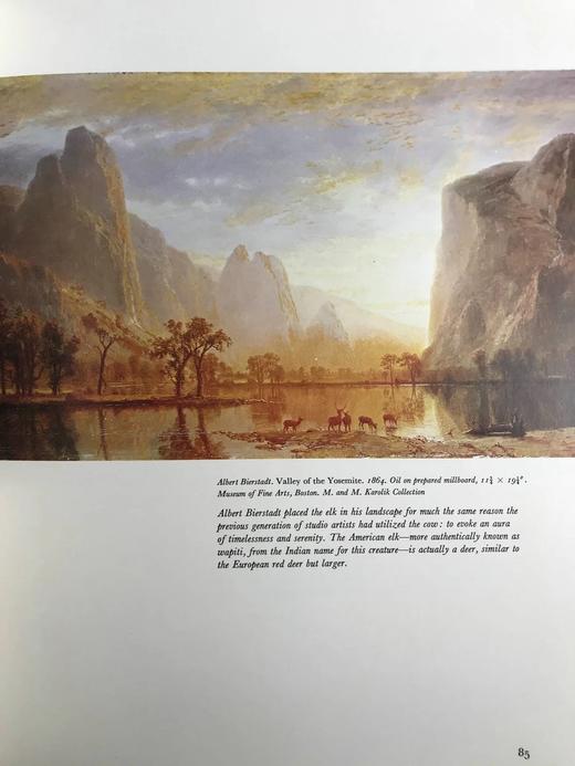 美国动物寓言 198幅插图（73幅彩色） 精装大16开 商品图11