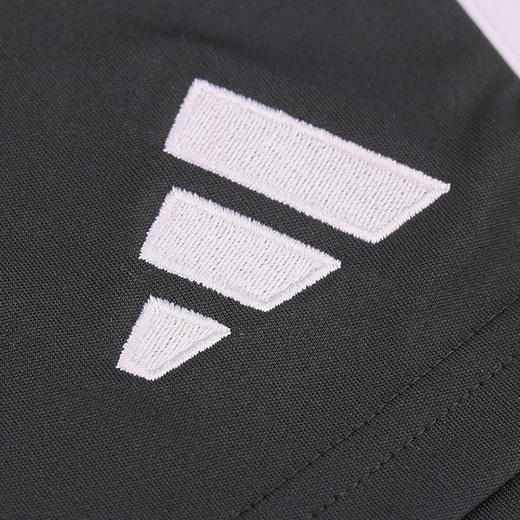 ADIDAS/阿迪达斯 AFA H SHO2022世界杯阿根廷队主场比赛短裤HB9216 商品图2
