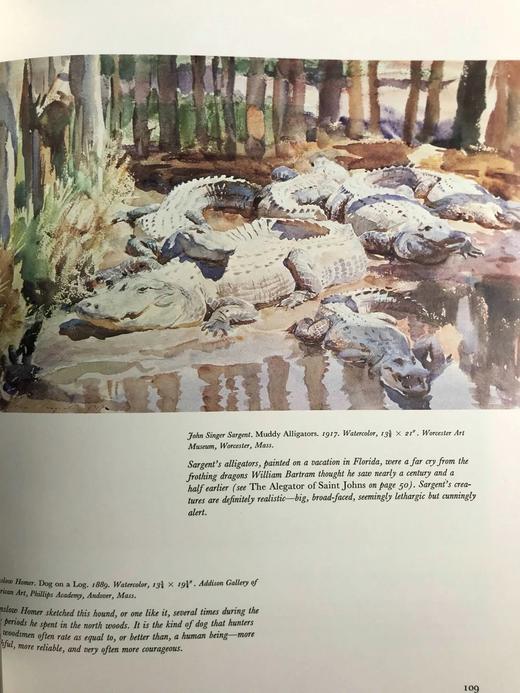 美国动物寓言 198幅插图（73幅彩色） 精装大16开 商品图7