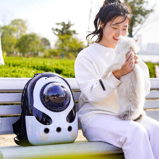 双肩包宠物包太空舱猫包大容量狗包透气背包猫咪包外出便携胸前包 商品图7