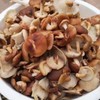 及养堂 野生香菇 约150g/份 商品缩略图0