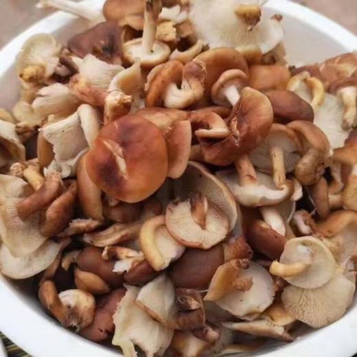 及养堂 野生香菇 约150g/份 商品图0