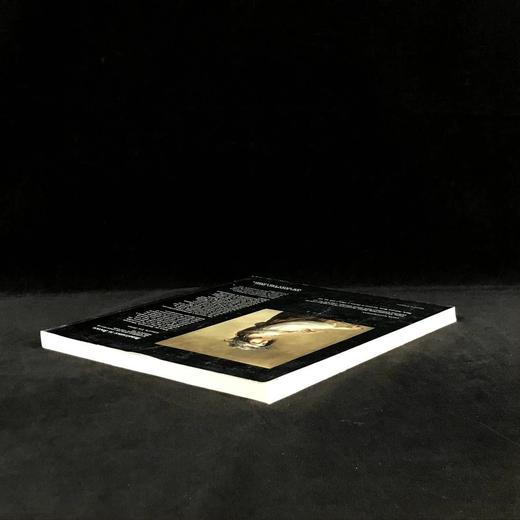 从文艺复兴到洛可可：沃兹沃斯·雅典娜艺术馆图集 约百幅彩色插图 平装大16开 商品图2