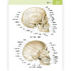 后浪正版 人体解剖学常用词图解 实用人体解剖学入门指导 解剖学术语释义+图解+涂色练习 商品缩略图4