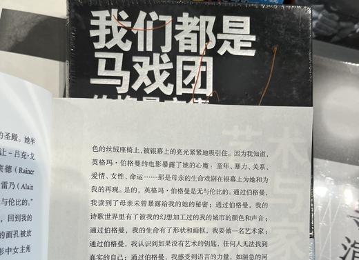 我们都是马戏团：伯格曼文集 商品图2