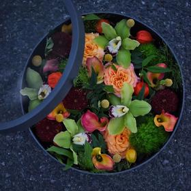 绿意  鲜花花盒大花蕙兰礼盒