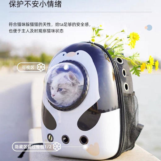 双肩包宠物包太空舱猫包大容量狗包透气背包猫咪包外出便携胸前包 商品图8