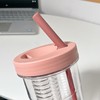抖音爆款网红同款高颜值ins学生女吸管杯耐摔耐热便携茶杯夏季大容量杯子 商品缩略图3