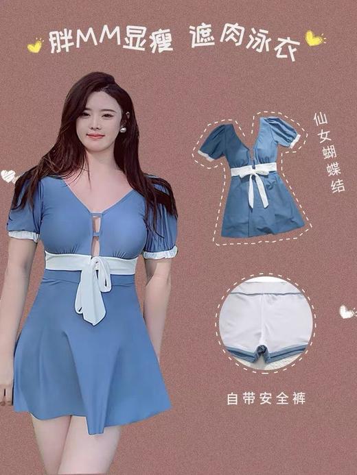大码泳衣女连体裙式专业泳衣加大加肥保守胖MM显瘦遮肉泡温泉 商品图0
