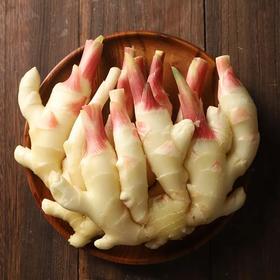 【hjx】仔姜 500g