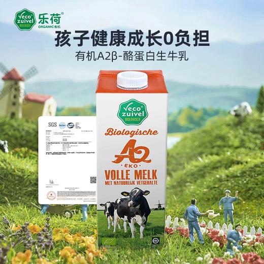 【产地直发包邮】乐荷—荷兰进口有机A2β-酪蛋白纯牛奶 商品图4
