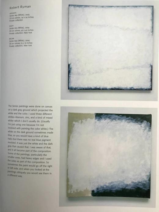 二十一世纪艺术图集 数百幅插图 精装大16开 商品图8