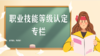 职业技能等级认定简介 商品缩略图0