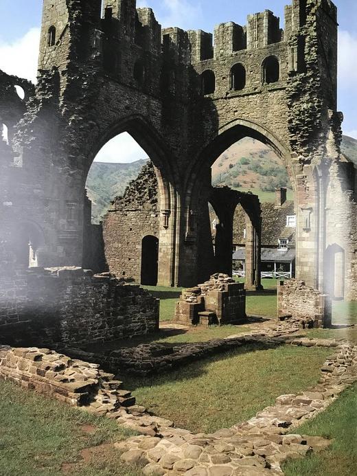 牛津英国与爱尔兰文学指南 数百幅插图 精装大16开 商品图9