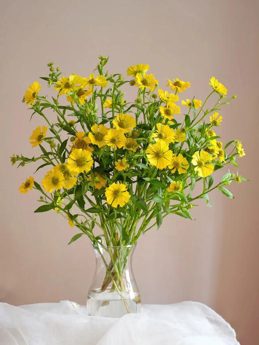 油画小菊（3枝） 商品图0