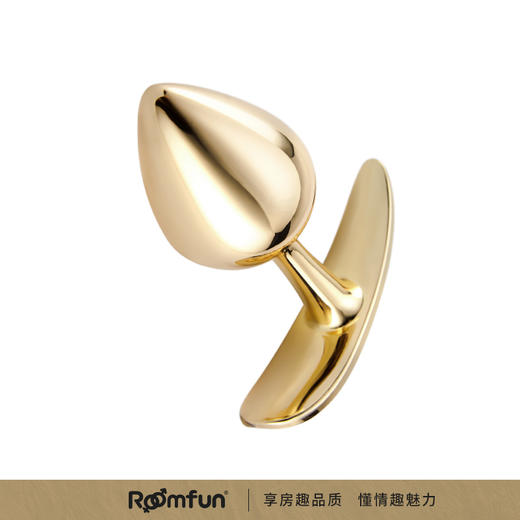 roomfun房趣  钻石肛塞 商品图2