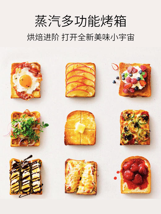 BALMUDA巴慕达蒸汽电烤箱迷你小型家用 商品图3