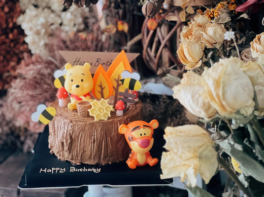 维尼乐园 商品图0