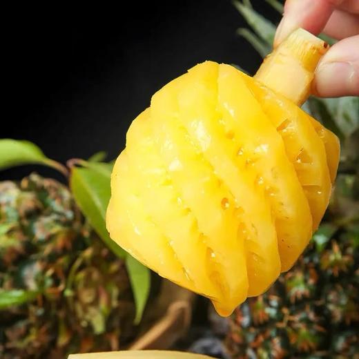 泰国小菠萝1000g/袋（每袋8-9个） 商品图4