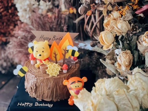 维尼乐园 商品图1