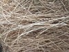 白茅根100g 野生 丝毛草根  茅草根 自然晾晒 商品缩略图1