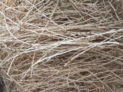 白茅根100g 野生 丝毛草根  茅草根 自然晾晒 商品图1