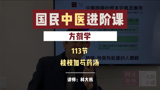 113桂枝加芍药汤 商品图0