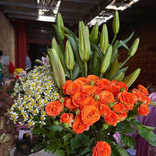 多头黑美人组合花束有香味冷链包邮