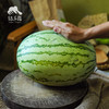 生态西瓜 | 合作生产 *Ecological Watermelon| Coproduction 商品缩略图2