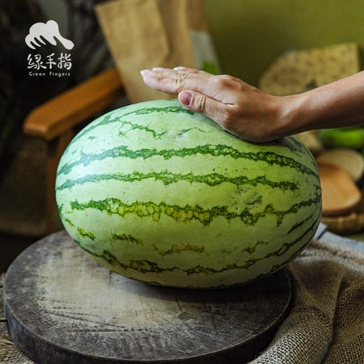 生态西瓜 | 合作生产 *Ecological Watermelon| Coproduction 商品图2