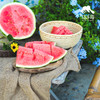 生态西瓜 | 合作生产 *Ecological Watermelon| Coproduction 商品缩略图3