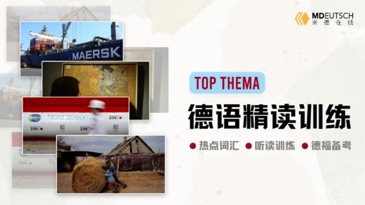 【2022】Top Thema 精读训练 商品图0