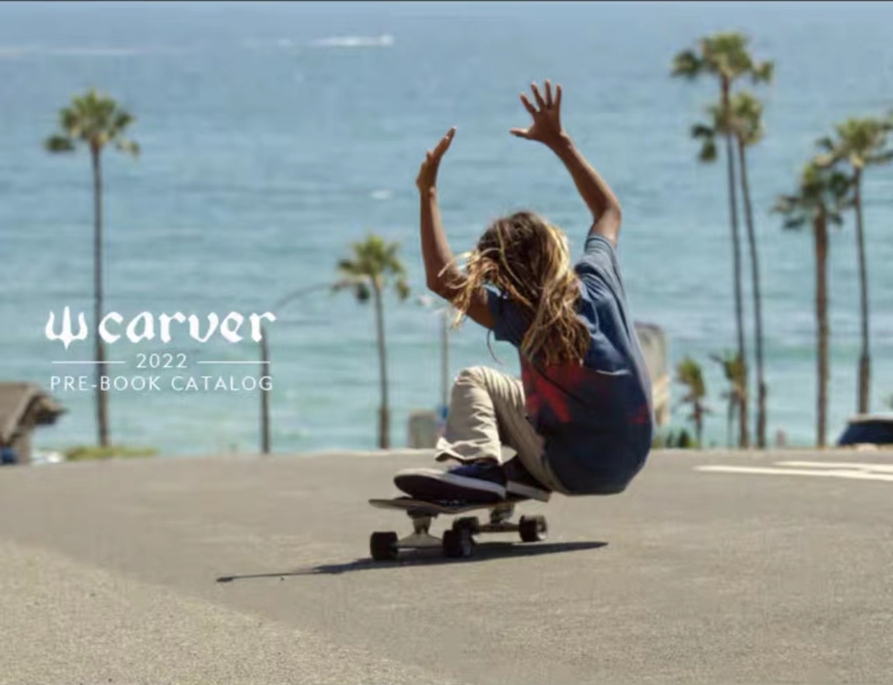 【现货发售】Carver 陆地冲浪板