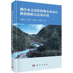 耦合水文过程的地表水动力数值模拟方法及应用 