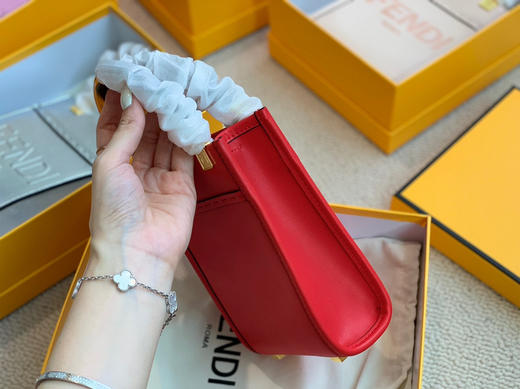 FD琴谱 mini-红色 商品图2