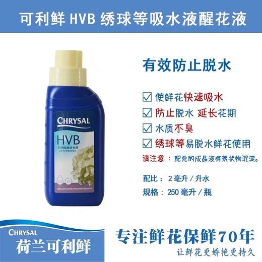 简小姐精选 鲜花保鲜剂---荷兰可利鲜 商品图2