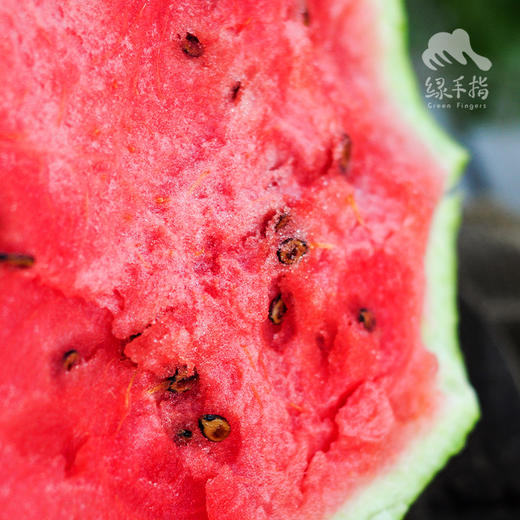 生态西瓜 | 合作生产 *Ecological Watermelon| Coproduction 商品图4