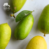 生态香水柠檬   | 合作生产 * Ecological Lemon | Coproduction 商品缩略图3