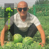 生态西瓜 | 合作生产 *Ecological Watermelon| Coproduction 商品缩略图1