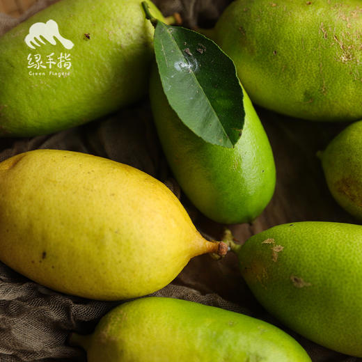 生态香水柠檬   | 合作生产 * Ecological Lemon | Coproduction 商品图4