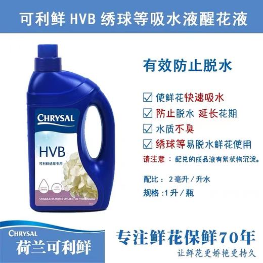 简小姐精选 鲜花保鲜剂---荷兰可利鲜 商品图3