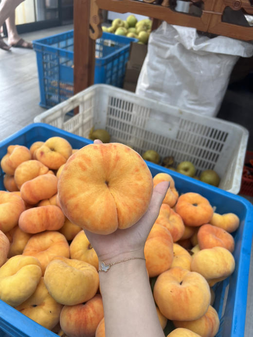 黄蟠桃（9枚礼盒装） 商品图4