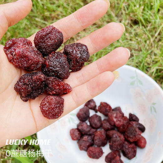 幸运小筑 | 杨梅干102g 商品图1