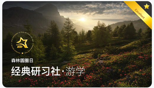 森林圆圈日 | 三生宝石 商品图0