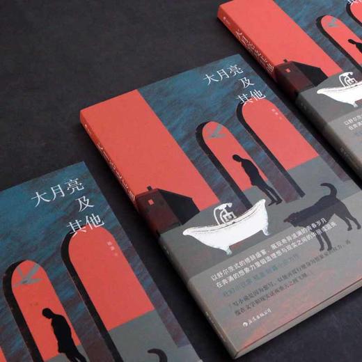 (仓发) 大月亮及其他（“社幻小说家” 陆源-短篇小说力作）/四川文艺出版社/陆源/9787541155673 商品图5