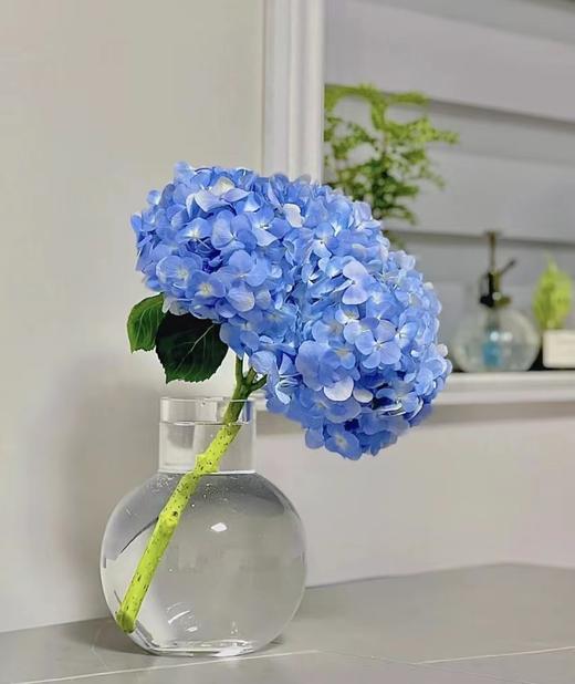 蓝色绣球 1支 商品图0